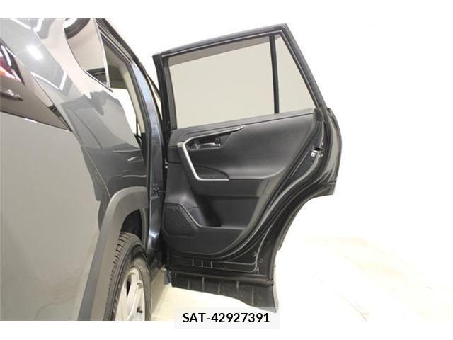 Toyota RAV4 2019-07 8628638-29