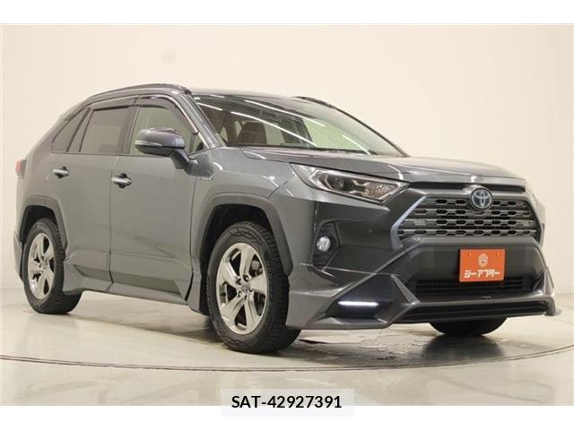 Toyota RAV4 2019-07 8628638-5