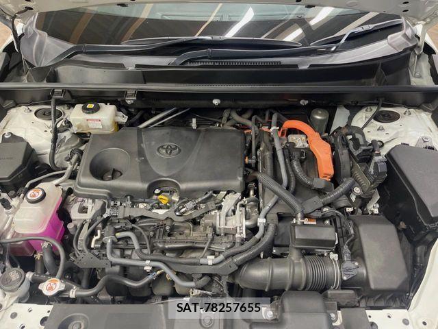 Toyota RAV4 2021-07 8666819-18