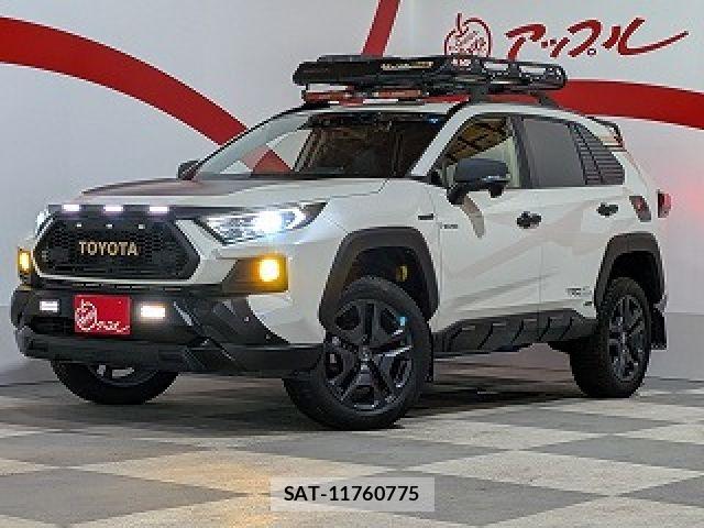 Toyota RAV4 2019-06 8745507-0
