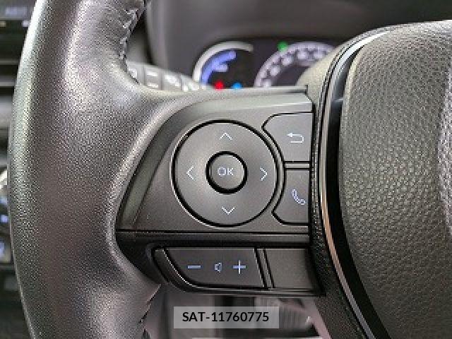 Toyota RAV4 2019-06 8745507-11