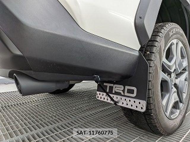 Toyota RAV4 2019-06 8745507-23