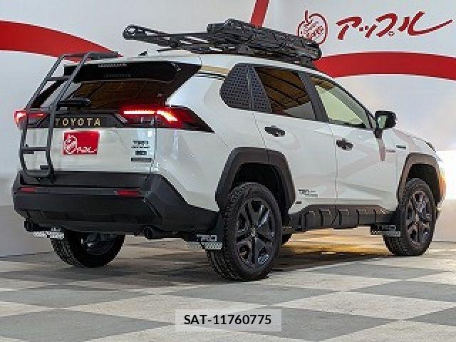 Toyota RAV4 2019-06 8745507-27