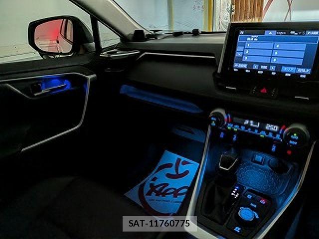 Toyota RAV4 2019-06 8745507-29