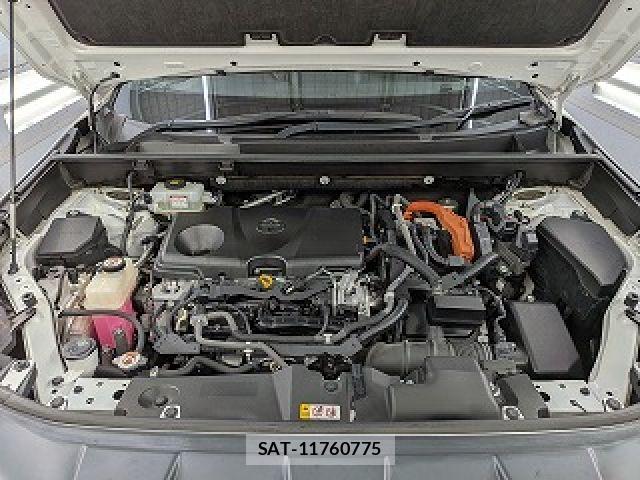 Toyota RAV4 2019-06 8745507-3