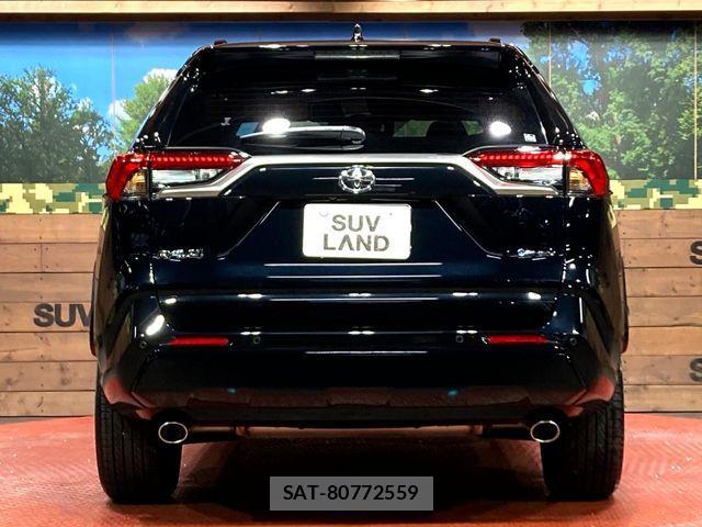 Toyota RAV4 PHV 2025-05 4979887-14