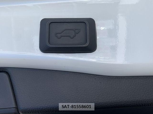 Toyota RAV4 PHV 2022-08 8745512-24