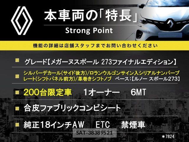Renault MEGANE 2017-04 8132084-2