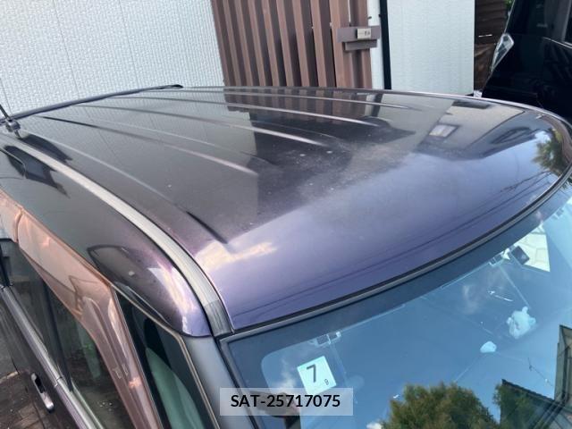 Nissan ROOX 2010-11 8038026-5