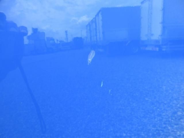 Mitsubishi ROSA 2011-04 7737891-8