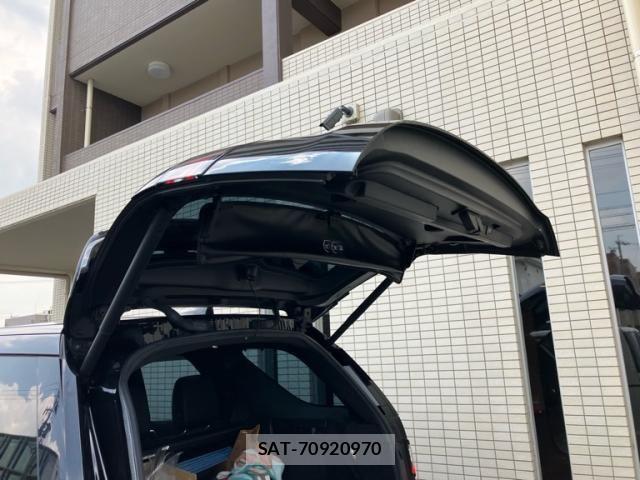 ROVER DISCOVERY 2019-03 2215369-8