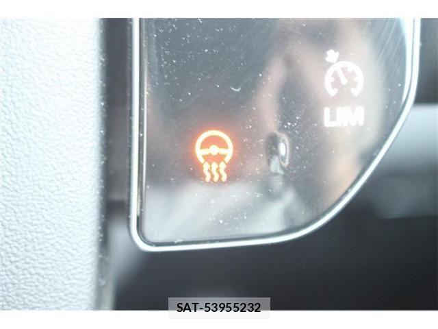 ROVER DISCOVERY 2020-04 8132199-3