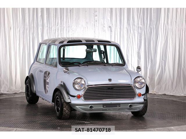 ROVER MINI 1990-06 7329895-18