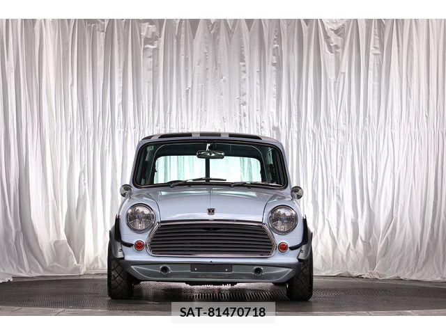 ROVER MINI 1990-06 7329895-1