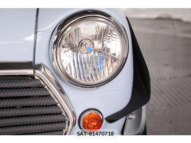 ROVER MINI 1990-06 7329895-19