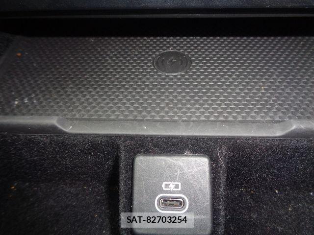 ROVER RANGE ROVER 2024-06 7393939-20