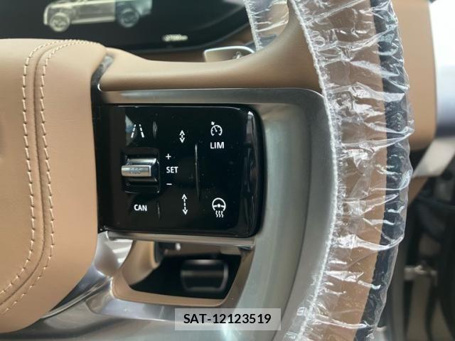 ROVER RANGE ROVER 2023-10 8038041-13