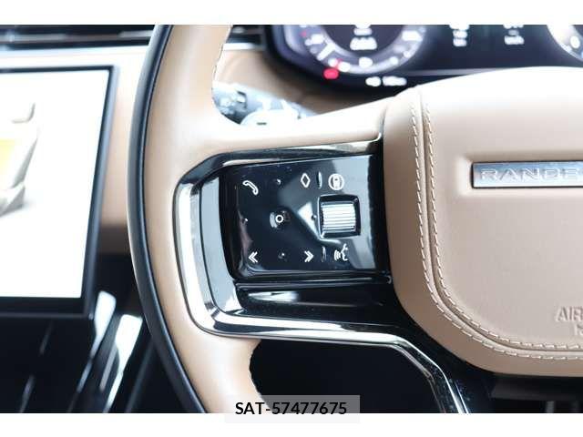 ROVER RANGE ROVER 2025-01 8666860-15