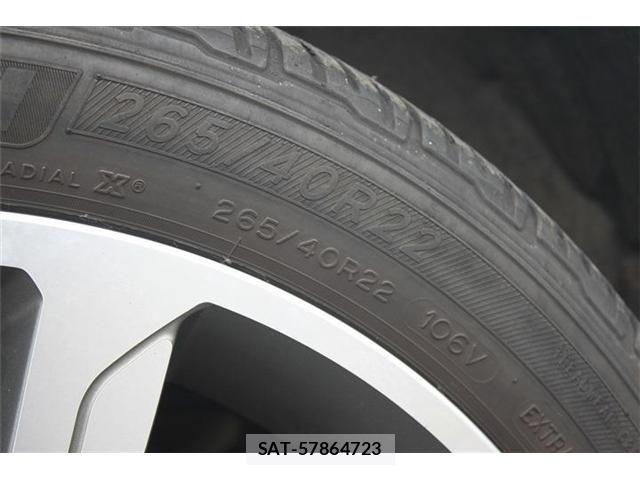 ROVER RANGE ROVER 2019-03 6753180-23