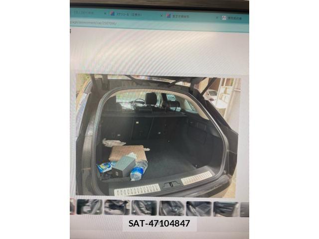 ROVER RANGE ROVER 2019-06 8038059-15