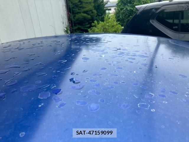 Mazda RX-8 2008-06 7619742-7