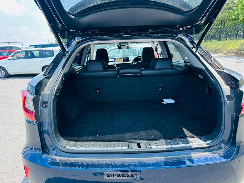 Lexus RX 2017-05 7498764-24