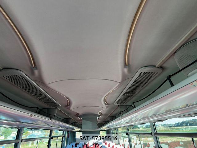 Hino Selega 2005-11 1847996-19
