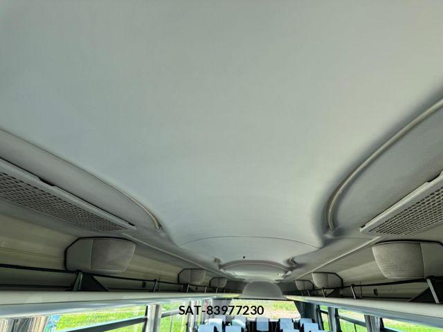 Hino Selega 2008-09 6219224-15