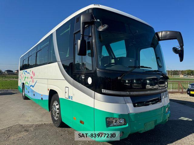 Hino Selega 2008-09 6219224-1