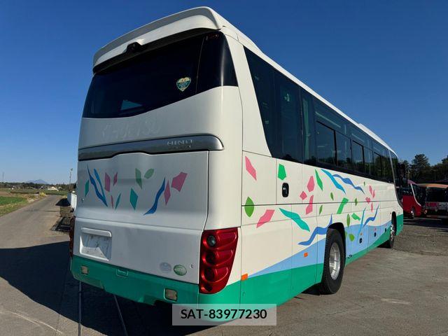 Hino Selega 2008-09 6219224-2