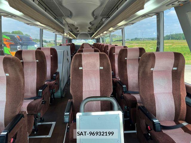 Hino Selega 2009-04 7252197-12
