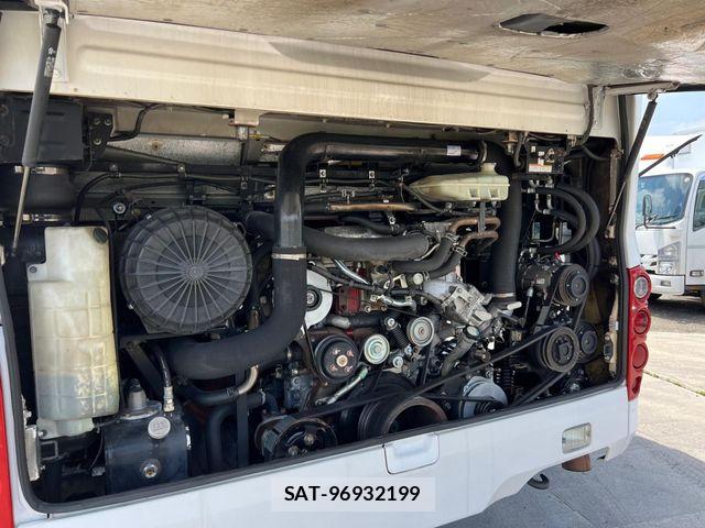 Hino Selega 2009-04 7252197-24