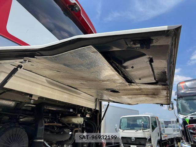 Hino Selega 2009-04 7252197-25