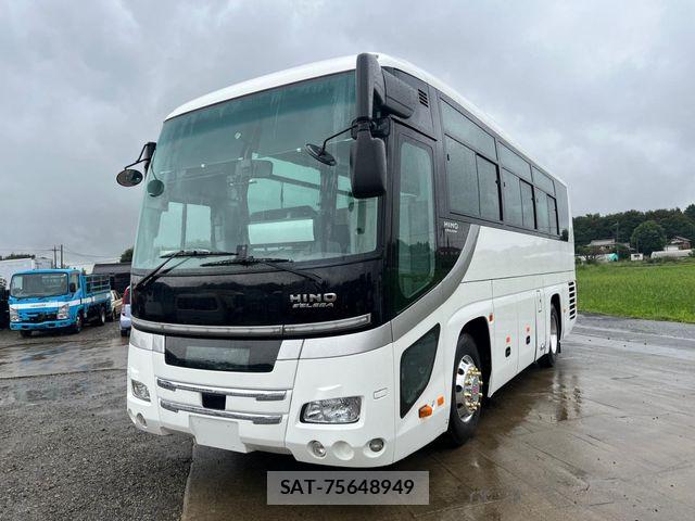 Hino Selega 2015-07 8872016-0
