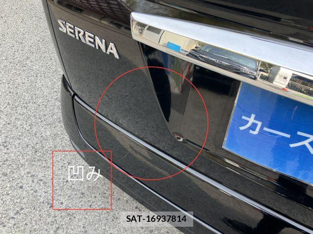 Nissan SERENA 2009-10 6219334-12