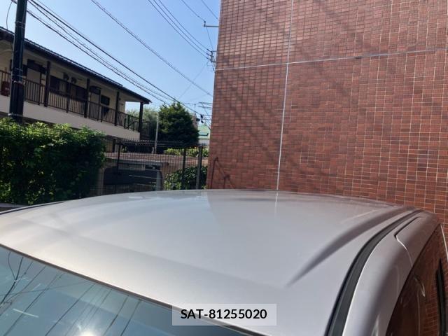 Nissan SERENA 2010-03 8563499-4
