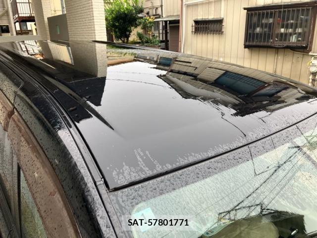 Nissan SERENA 2010-01 8661454-10