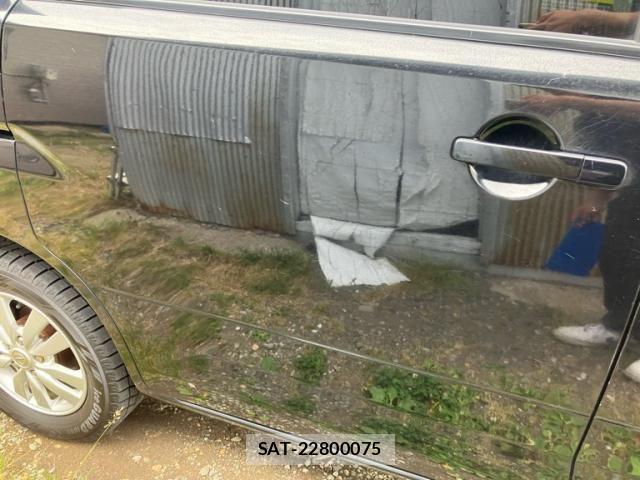 Nissan SERENA 2010-03 7980960-5