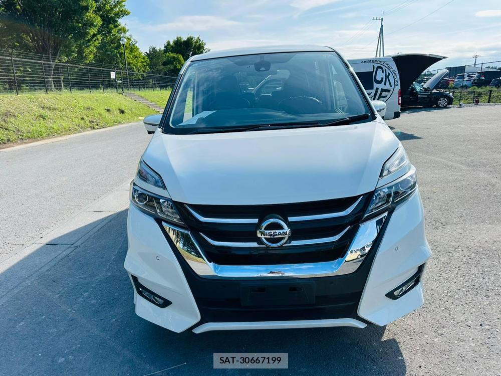 Nissan SERENA 2019 7282473-7