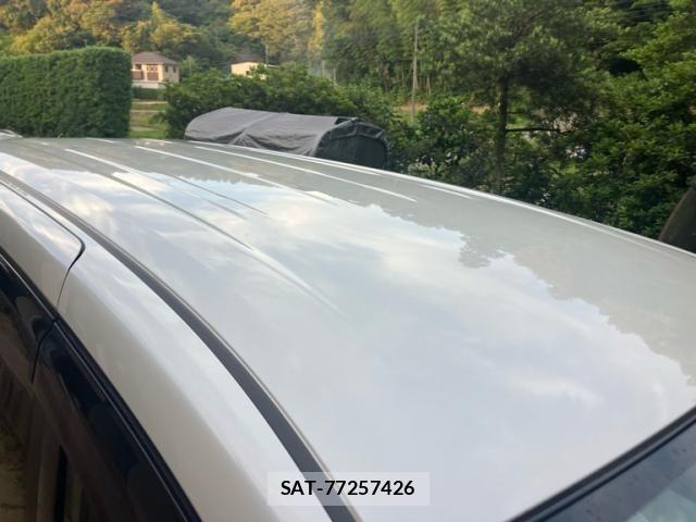 Nissan SERENA 2019-08 7261873-4