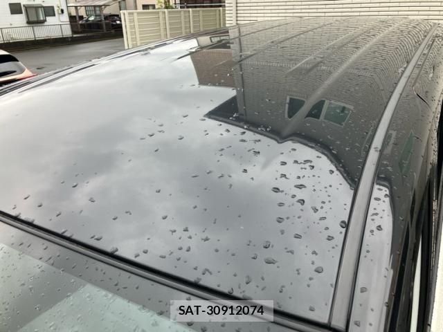 Nissan SERENA 2019-11 7394020-6