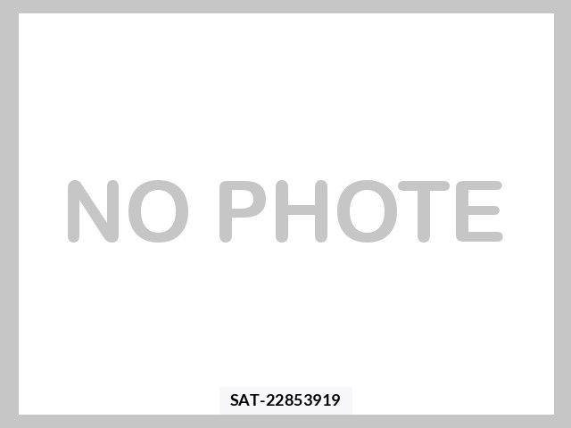 Nissan SERENA 2018-10 8316977-6