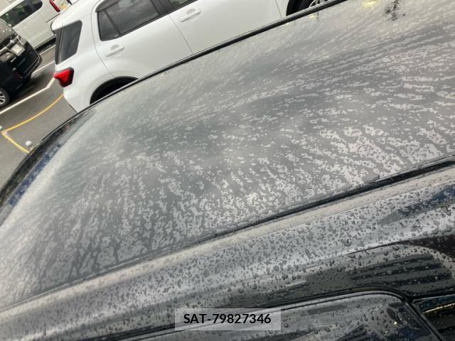 Honda SHUTTLE 2019-07 7879405-6