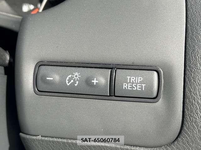 Nissan SKYLINE 2023-07 3683591-18