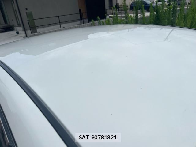 Nissan SKYLINE 2011-08 8101913-3