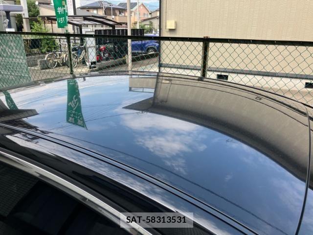 Nissan SKYLINE 2010-06 8317097-9