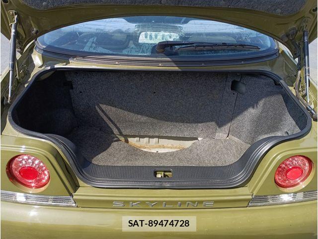 Nissan SKYLINE COUPE 1996-02 8368728-21