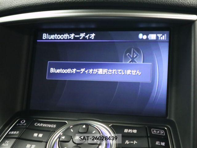 Nissan SKYLINE CROSSOVER 2010-08 6817303-16