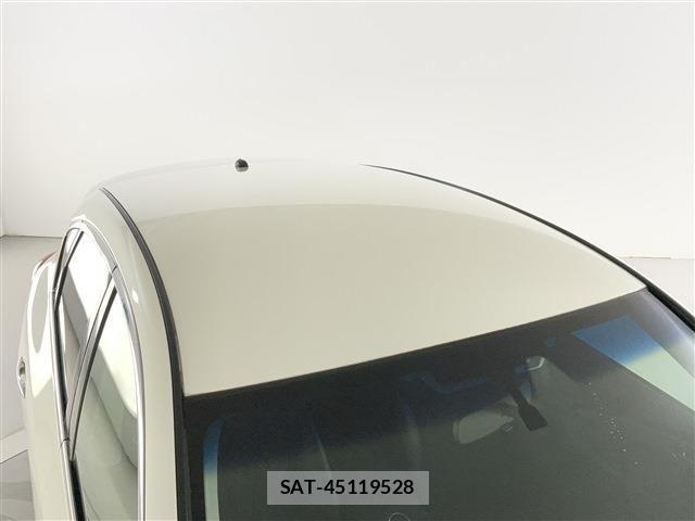 Nissan SKYLINE CROSSOVER 2011-03 5878745-8