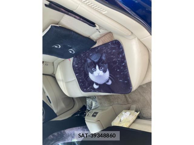 Nissan SKYLINE 2018-01 8372197-13
